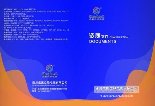 2026地域優(yōu)化服務(wù)核心能力深度評(píng)測(cè)報(bào)告